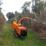 hedge cutting great yarmouth