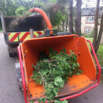 Hedge Cutting Great Yarmouth