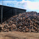 seasoned firewood great yarmouth norfolk