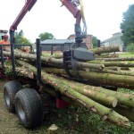 Tree Felling Norfolk