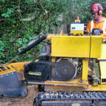 Tree Surgeon Great Yarmouth